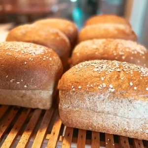 Bread
